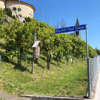 Bischof Paul Stäge.jpg